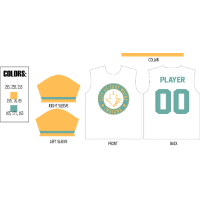 Fort Wayne Daisies Official Away Jersey