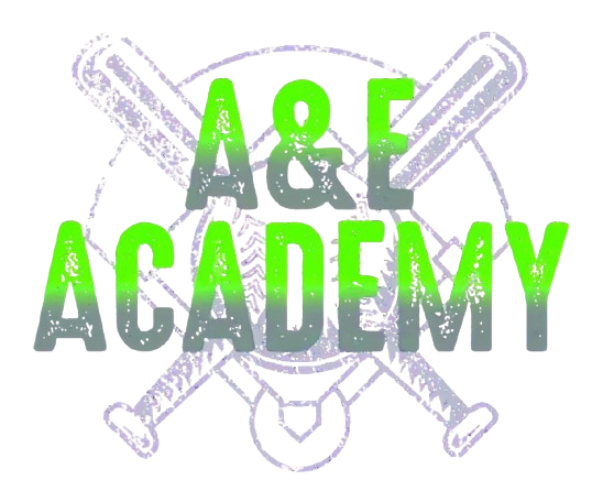 Logo for A&E Academy 8U Lady Ballers