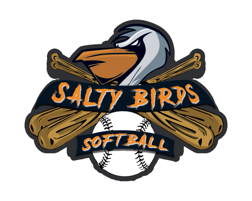 Logo for Salty birds