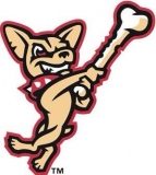 Fighting Chihuahuas Logo