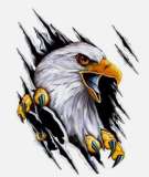 Screaming Eagles