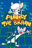 PINKY & THE BRAIN